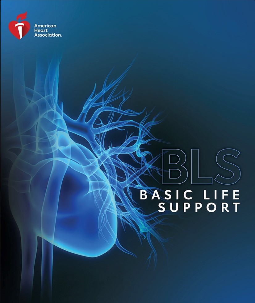 bls-2020